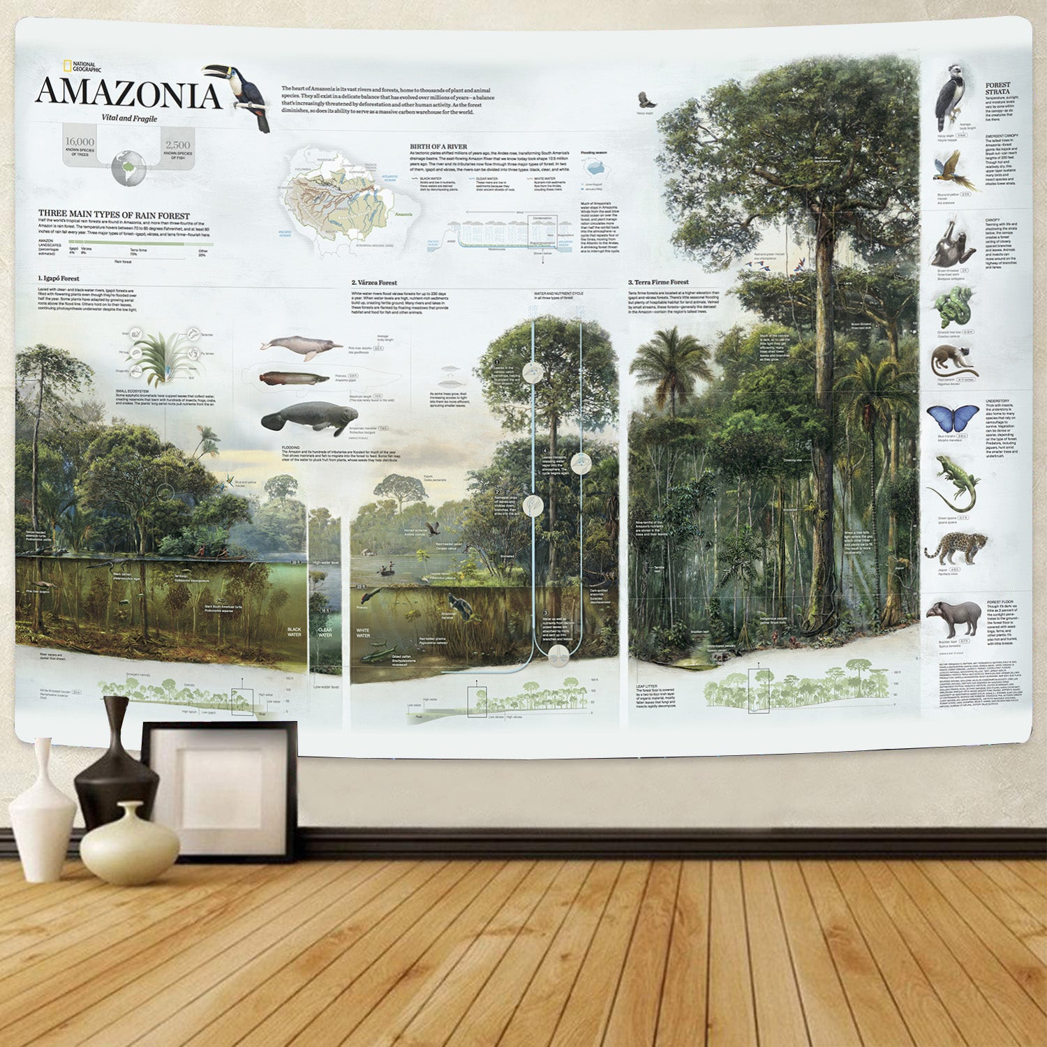 Amazonia: Vital and Fragile Map  High Resolution Tapestry 06174