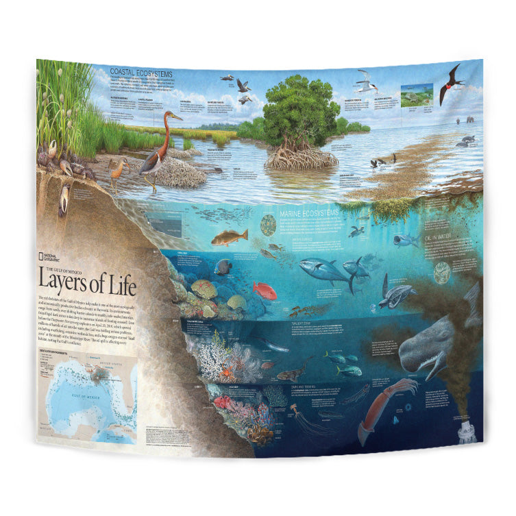 Layers of Life The Gulf of Mexico Tapestry 06170
