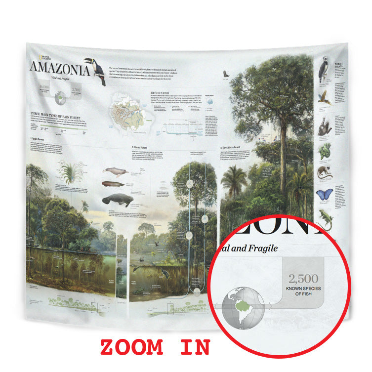 Amazonia: Vital and Fragile Map  High Resolution Tapestry 06174