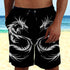Dragon Beach Shorts 06381
