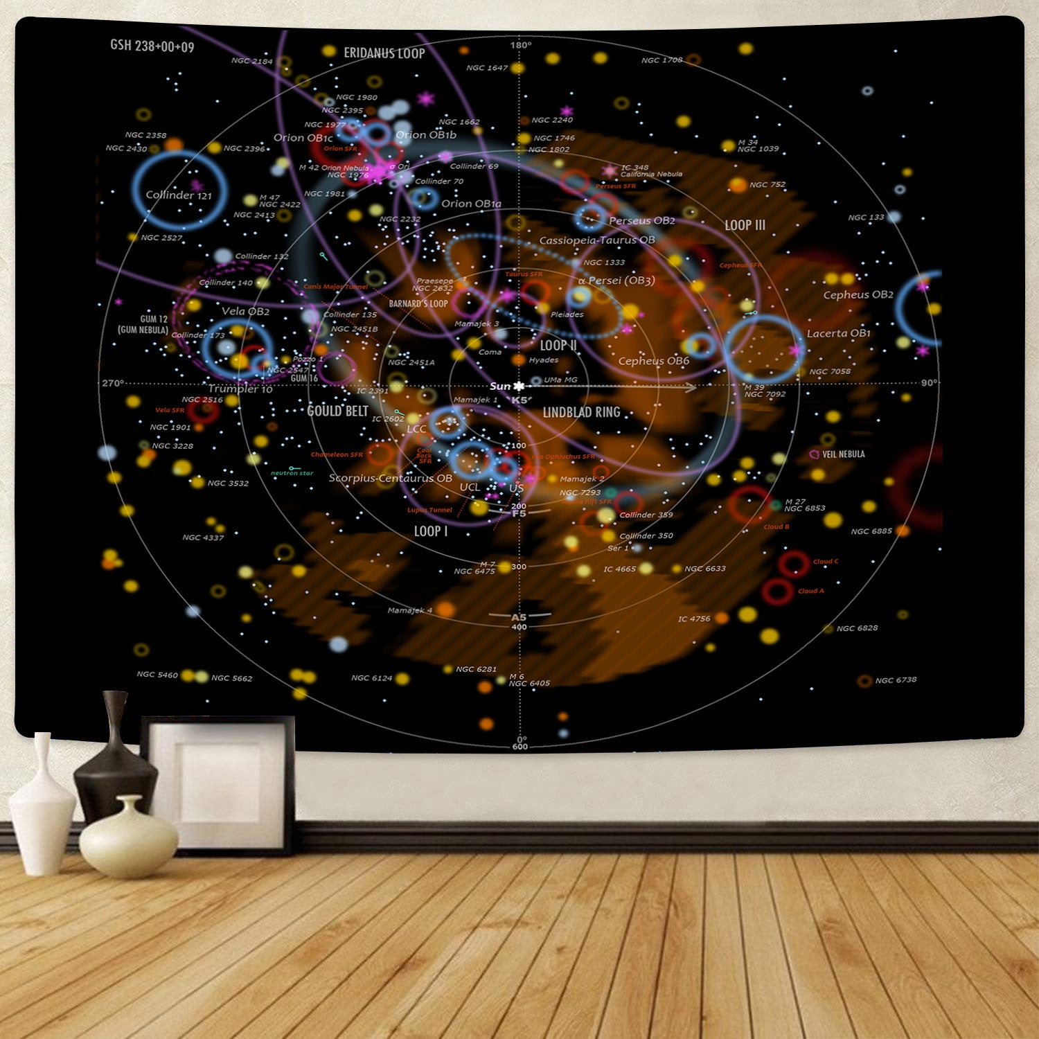 Overview of the Galaxy Tapestry 06275